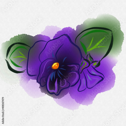 watercolor vector illustration of violet flower isolated on a white background 