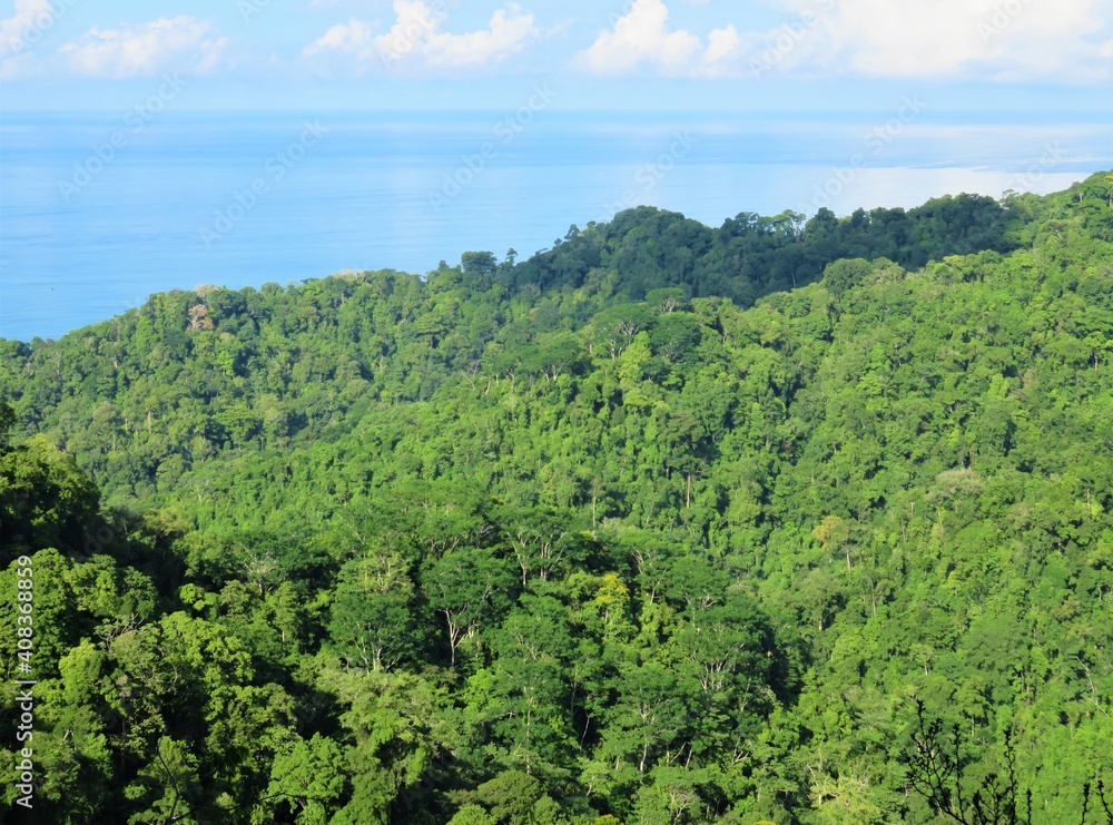landscape of rainforest jungle in Costa Rica