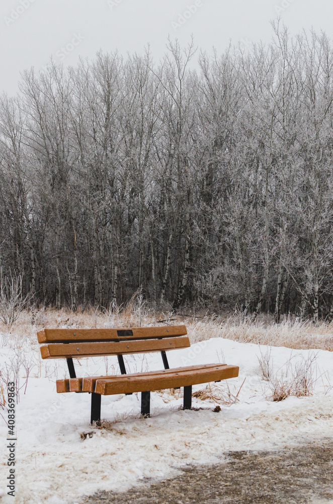 Park bench in the snow at Assiniboine Forest in Winnipeg, Manitoba, Canada