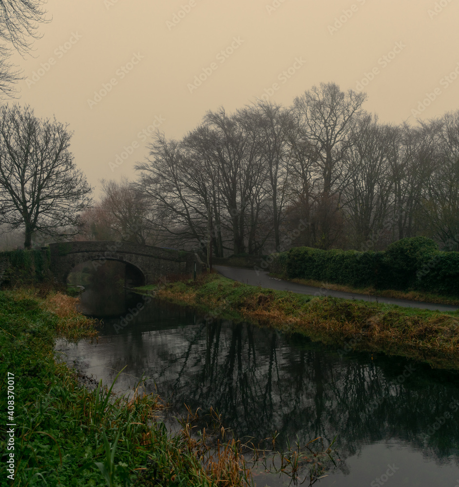 Irish Canal Dull Winter Landscape