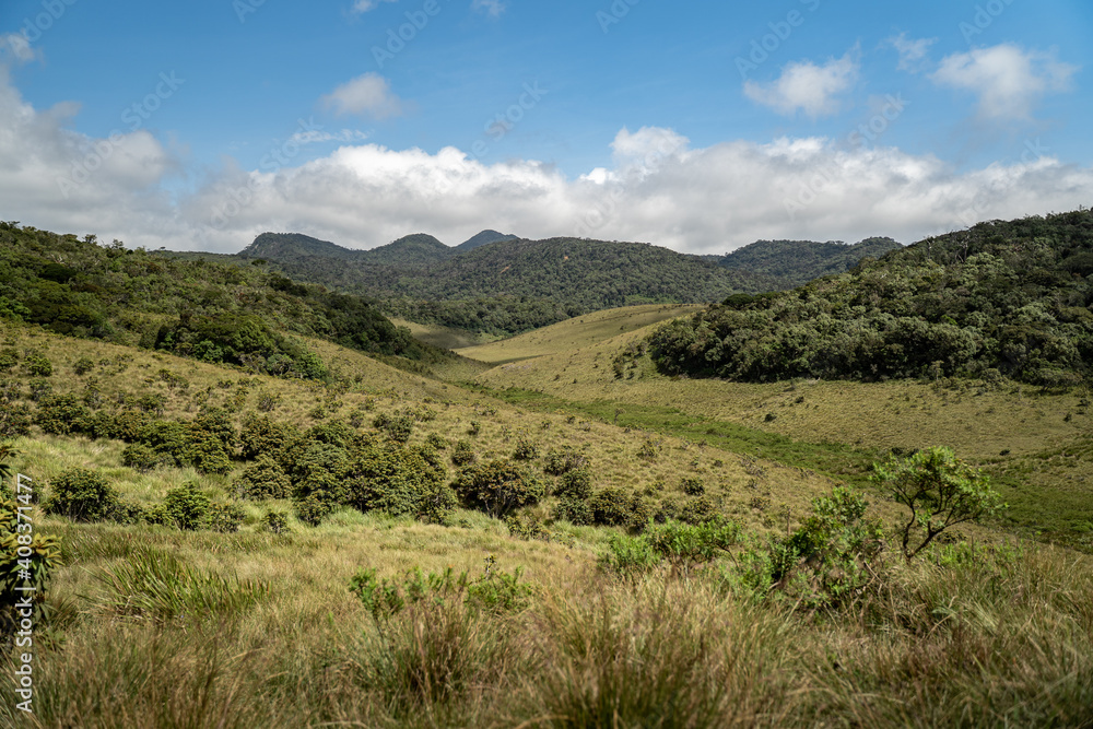 Blick auf grüne Wiesen im Horton Plains National Park im Hochland von Sri Lanka bei sonnigem Wetter Blick auf grüne Wiesen im Horton Plains National Park im Hochland von Sri Lanka bei sonnigem Wetter
