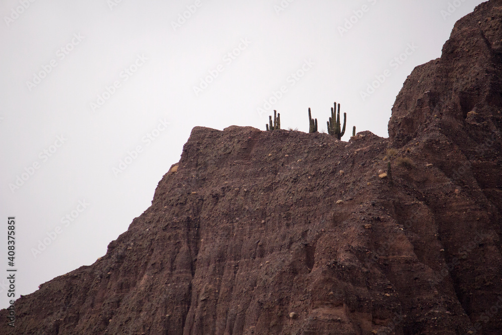 View of the brown rocky cliffs with beautiful texture. Giant desert cactus, Echinopsis atacamensis, growing in the mountaintop. 