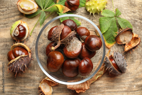 Horse chestnuts on wooden table, flat lay