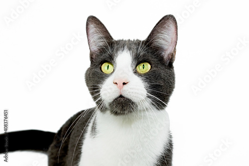 Chat