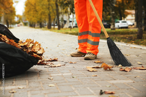 Street cleaner sweeping fallen leaves outdoors on autumn day, closeup
