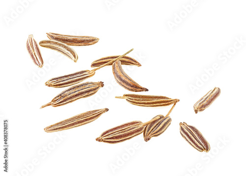 Macro image of cumin seeds isolated on a white background. Caraway seeds.