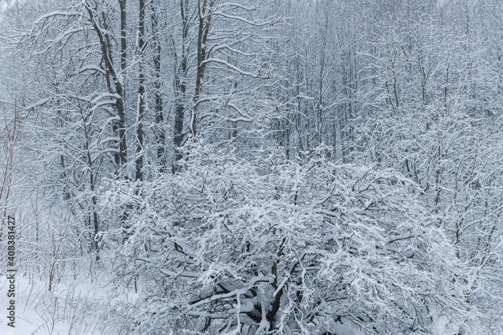 Winter in Krkonose mountains, Czech Republic pure white snow, Winter in Krkonose mountains, Czech Republic pure white snow,