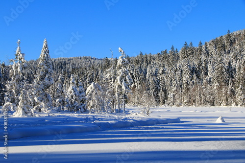 Lac de Lispach dans les Vosges photo