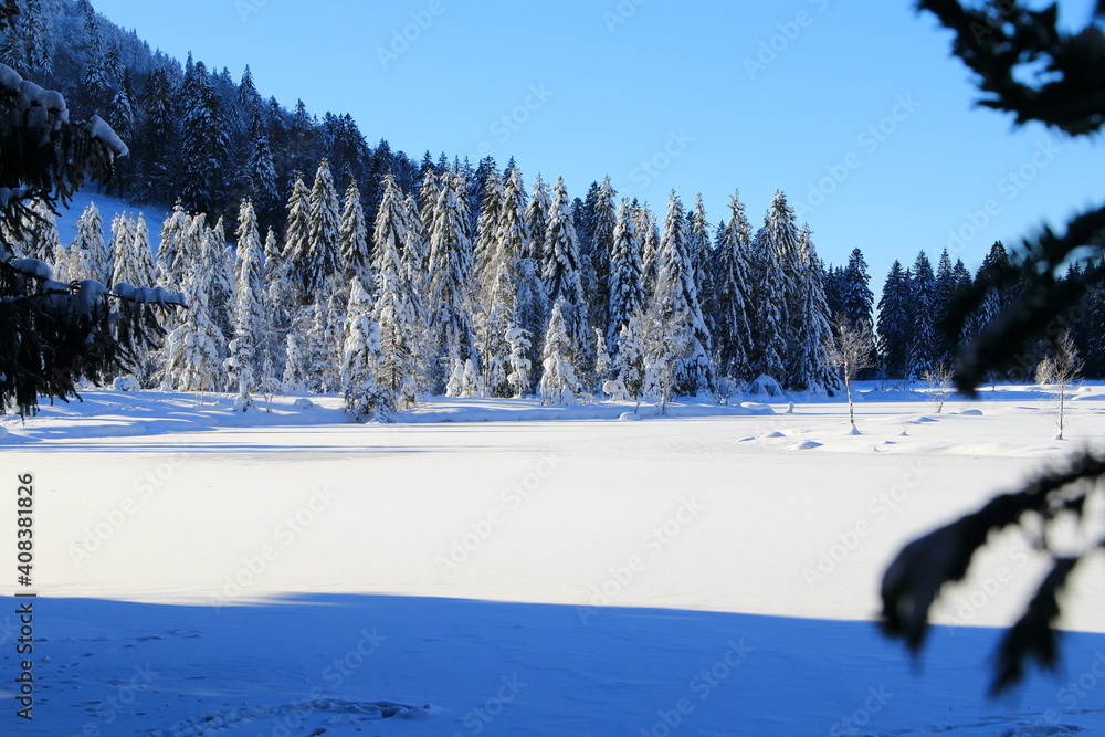 Lac de Lispach dans les Vosges