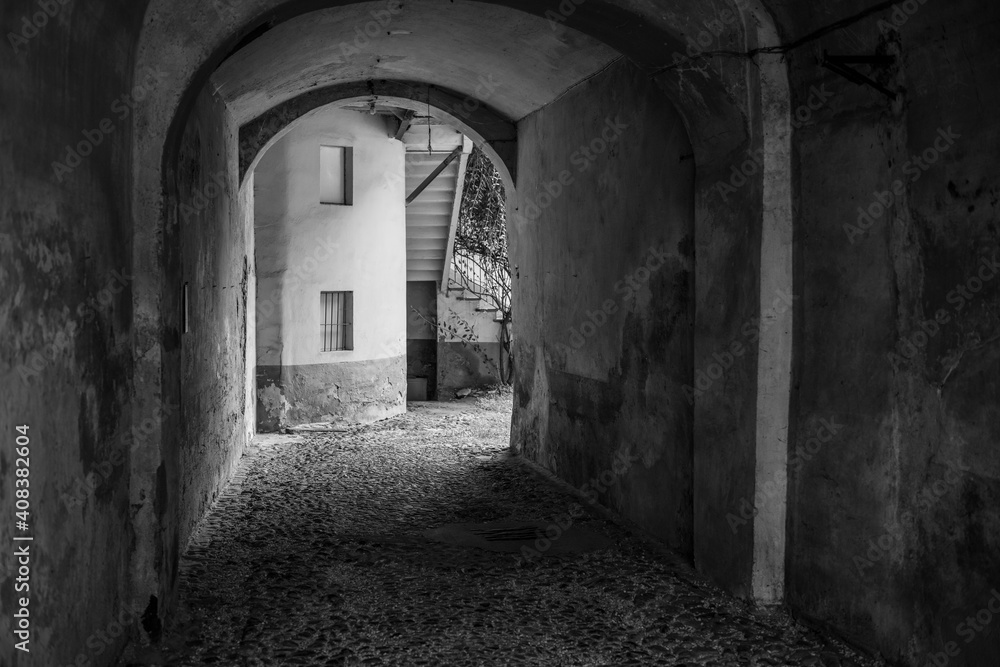 Driveway In A Yard In Piedmont