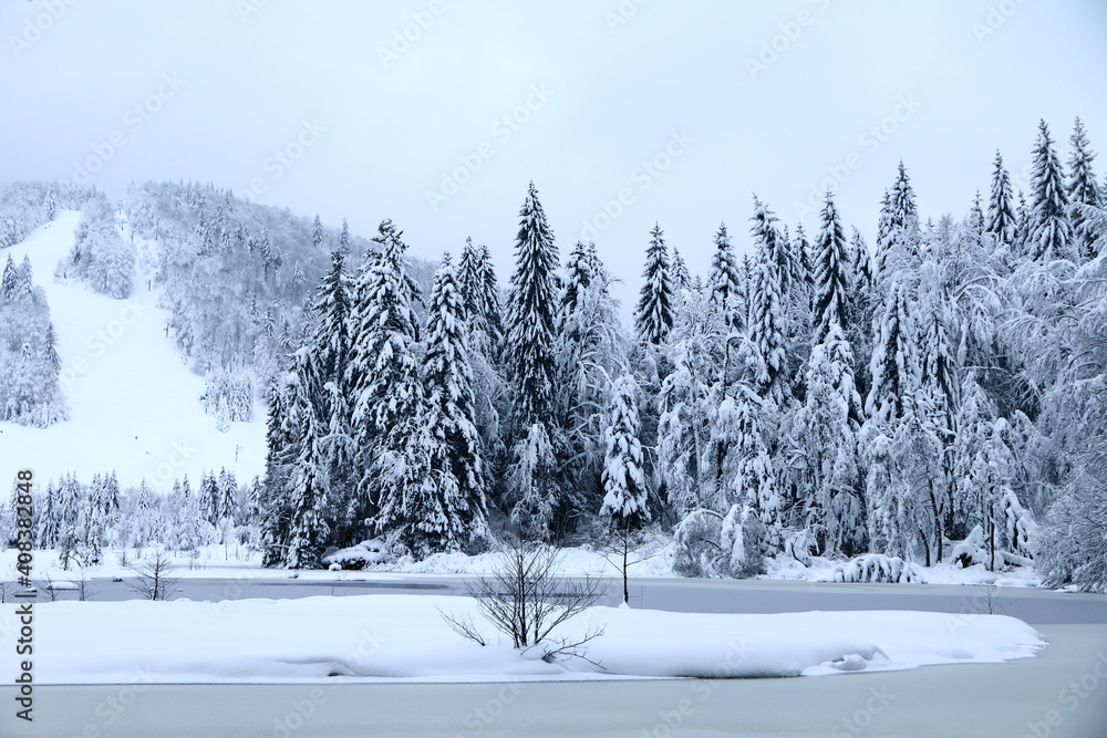 Lac de Lispach dans les Vosges