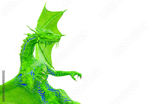 master dragon on white background with copy space
