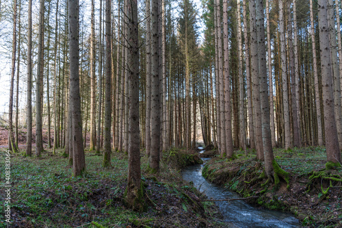 A hike through the forest in the Westerwald in winter