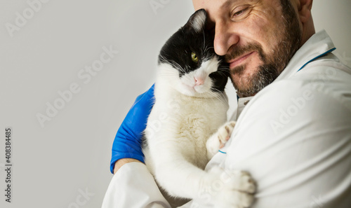 veterinarian hugs a cat in his arms. veterinary medicine. pet care