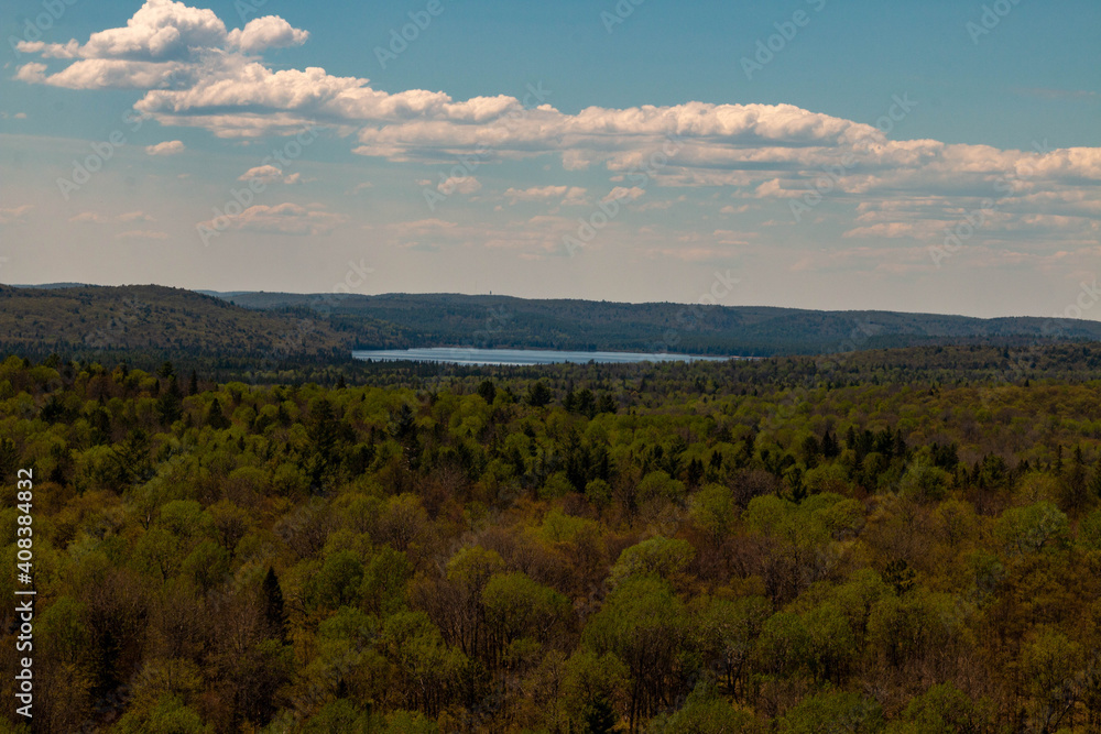 scenic views of algonquin provincial park in the spring
