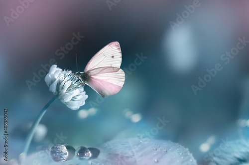 Spring summer natural background. Pink delicate butterfly and white clover flowers in a fantastic garden. Pastel tone.