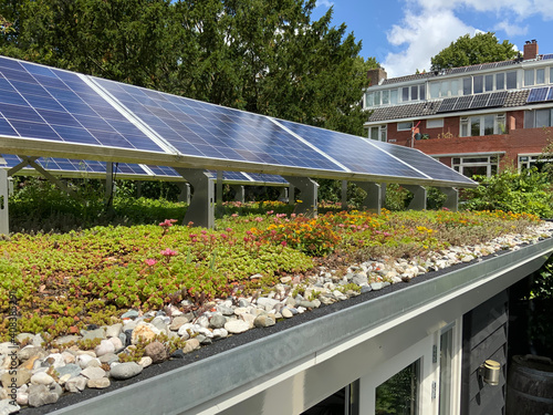 Fotografie Green sedum rooftop garden with solar panels for solar energy, climate adaptatio