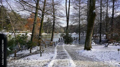 Snowy at park in İstanbul