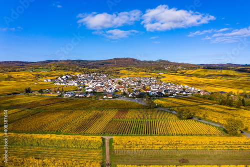 Germany, Hesse, Oestrich-Winkel, Helicopter view of countryside town surrounded by yellow autumn vineyards photo