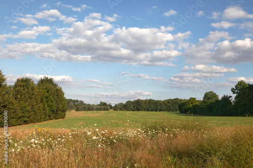 Field shoulder with wild flowers in the Osnabrueck country, Lower Saxony, Germany