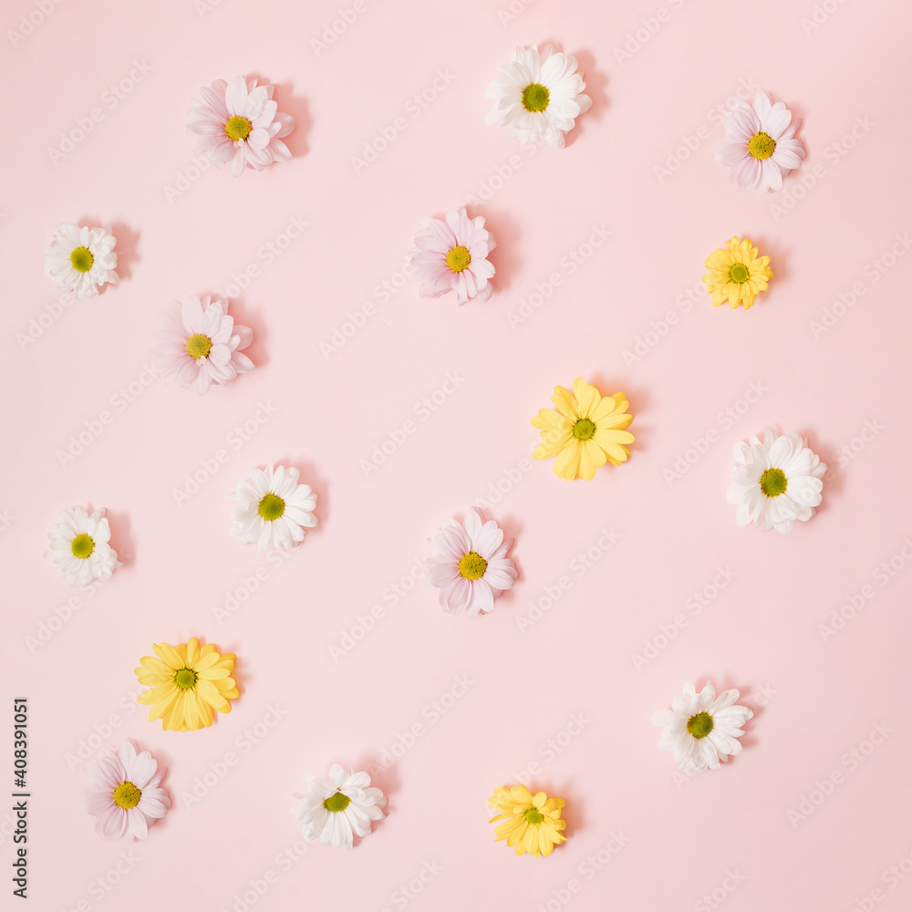 Flowers color composition on a pink pastel background. Flat lay. Pattern.