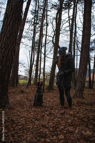 Bohemian Wire-haired Pointing Griffon sits next to his mistress and waits for a treat. Authentic situation between woman and dog in the woods. Adorable Cesky mustache looks impatiently at his mistress © Fauren