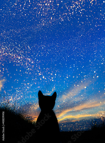 Black silhouette of a cute little kitten sitting outdoors and looking  to the wonderful sunset.Animals, pets, animals day concept.