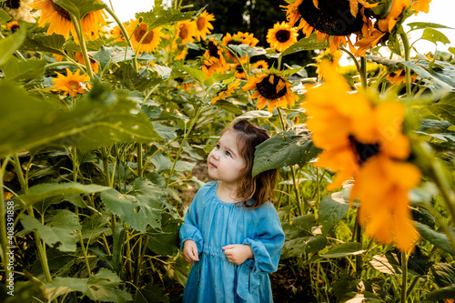 Little girl standing alone in sunflower field photo