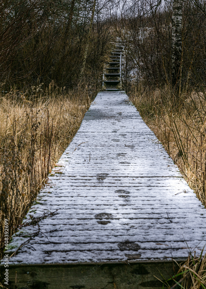walking bridge with snow