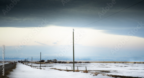 A snowy owl sits perched on top of a power pole along a hi way facing the distant West slopes of the Canadian Rocky Mountains.