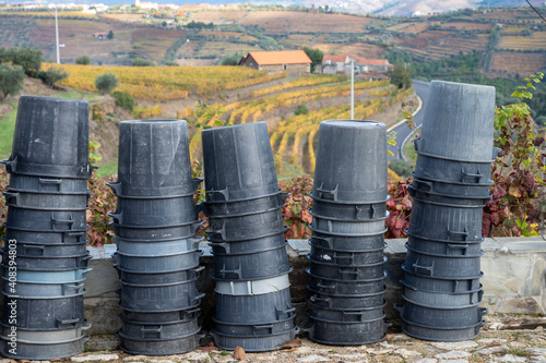 Winemaking in oldest wine region in world Douro valley in Portugal, plastic buckets for harvesting of wine grapes, production of red, white and port wine.