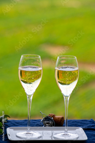 Tasting of french sparkling white wine with bubbles champagne on outdoor terrace with view on grand cru Champagne vineyards in Cramant, near Epernay, France