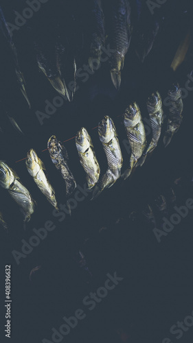 Dry fish hanging on a rope in a dark room. The concept of cooking dried fish at home.