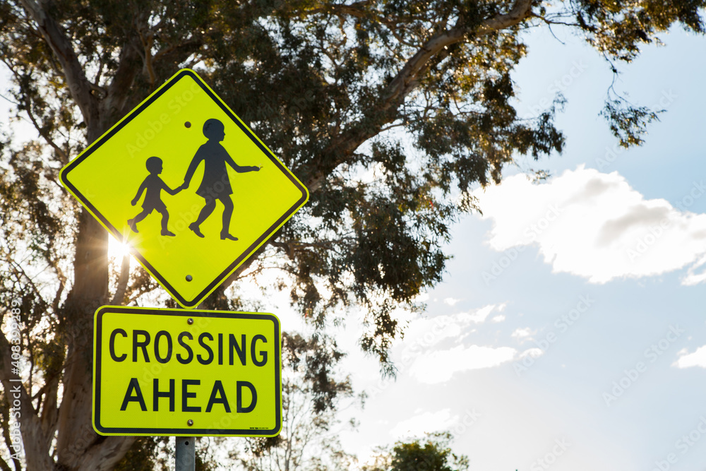 Crossing ahead sign in school zone with gum trees and sun flare Crossing ahead sign in school zone with gum trees and sun flare