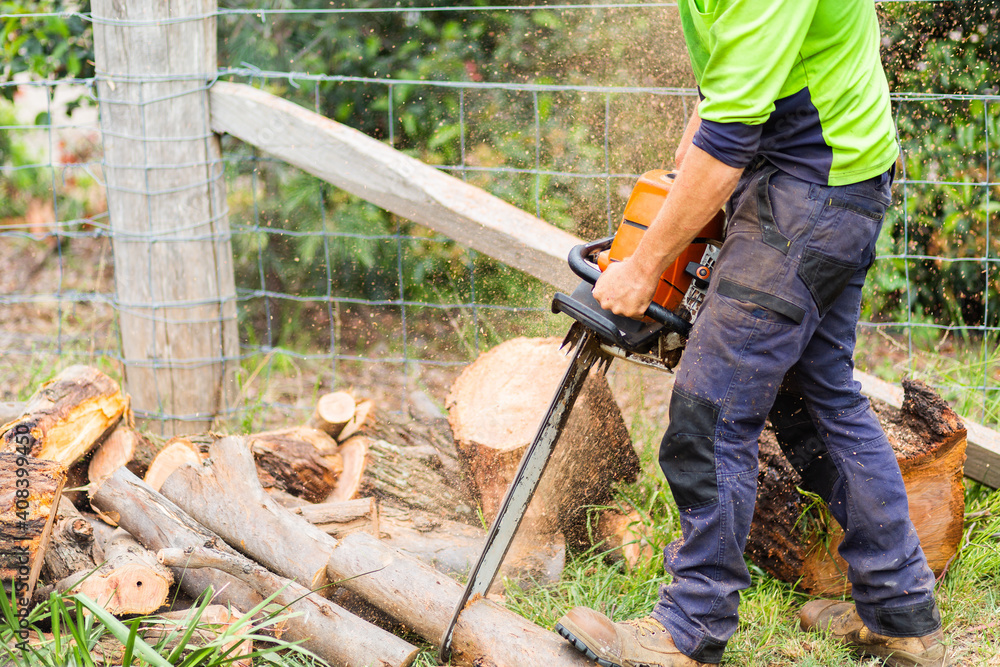 Workman using a chainsaw to cut logs into smaller rounds of wood Workman using a chainsaw to cut logs into smaller rounds of wood