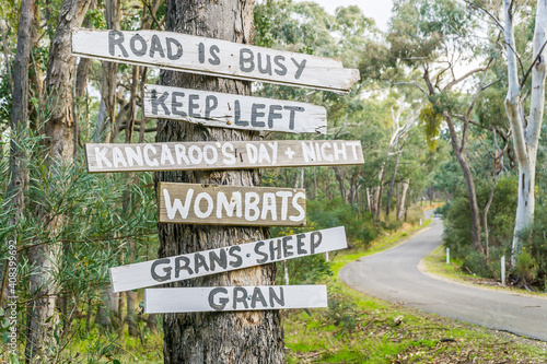 Comical hand painted signs nailed to a tree beside a country road