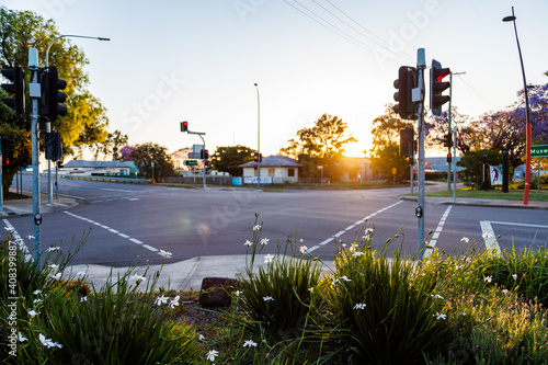Garden and traffic lights at intersection at sundown