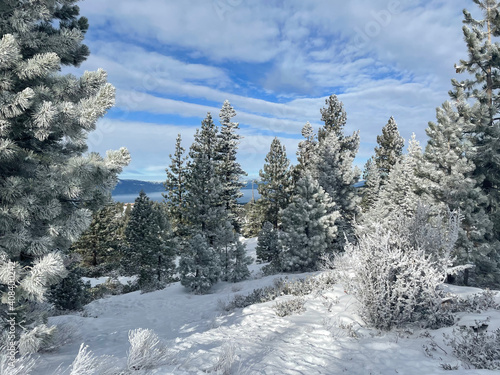 Scenic view of snow covered trees against a blue sky with clouds
