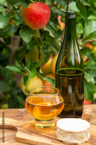Taste of Normandy, France, glass of apple cider and camembert cheese and green apple tree with ripe red fruits on background