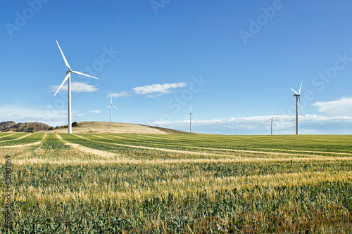 Wind farm with paddock and crops in foreground photo