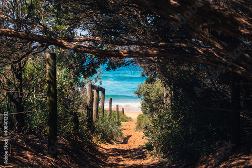 secret pathway to the beach, secret location available upon request