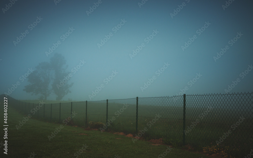 morning in the fog