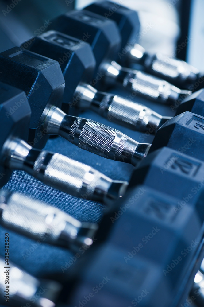 Row of dumbbells in gym Row of dumbbells in gym