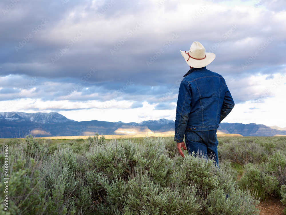 USA, Utah, Rear view of man standing in desert landscape USA, Utah, Rear view of man standing in desert landscape