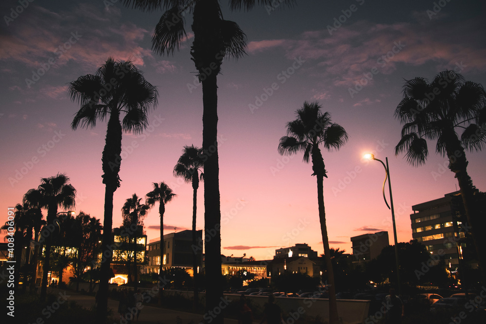 Obraz premium Colorful Sky Pink Colours Palm Trees