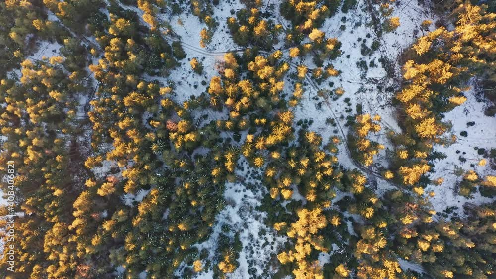 Aerial top view over alpine forest durring sunset Cinematic drone shot over winter forest Aerial top view over alpine forest durring sunset Cinematic drone shot over winter forest
