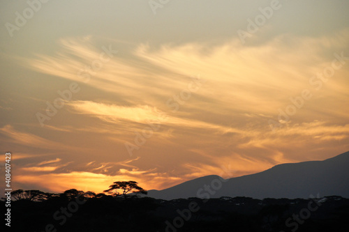 Cirrus clouds and acacia trees at sunrise, Ndutu, Ngorongoro Conservation Area, Tanzania