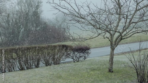 Heavily snowing on road, grass and tree

