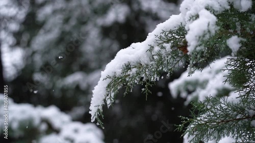 Schneefall an Zweigen mit Schneebedeckung
