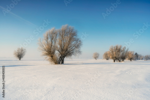Winter rural landscape, Poland around Malbork